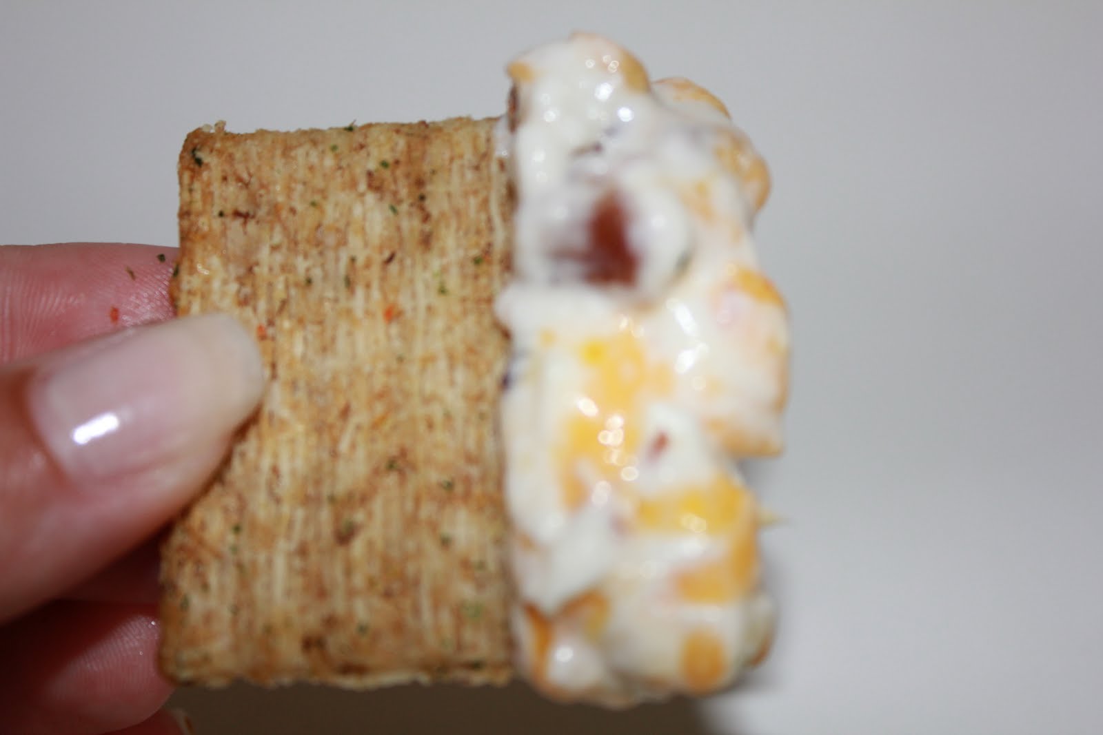 simply made with love Warm Bacon Dip