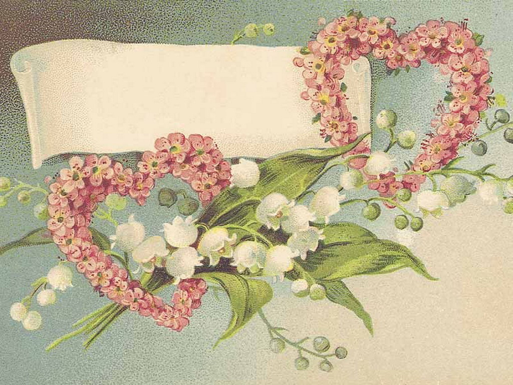 WALLPAPER NGAWOR: Cute Wallpapers
