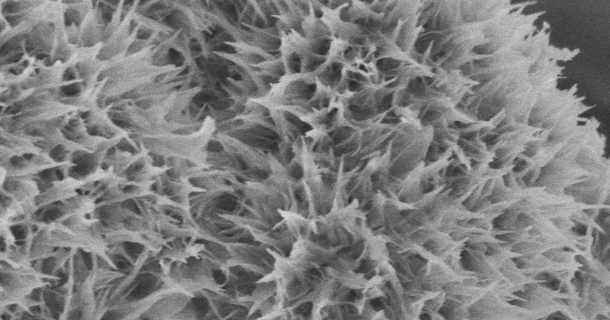 The Concrete Mix What happens when cement gets wet?