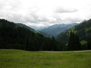 Cyclist on the road below a steep climb, viewed across a meadow, Switzerland