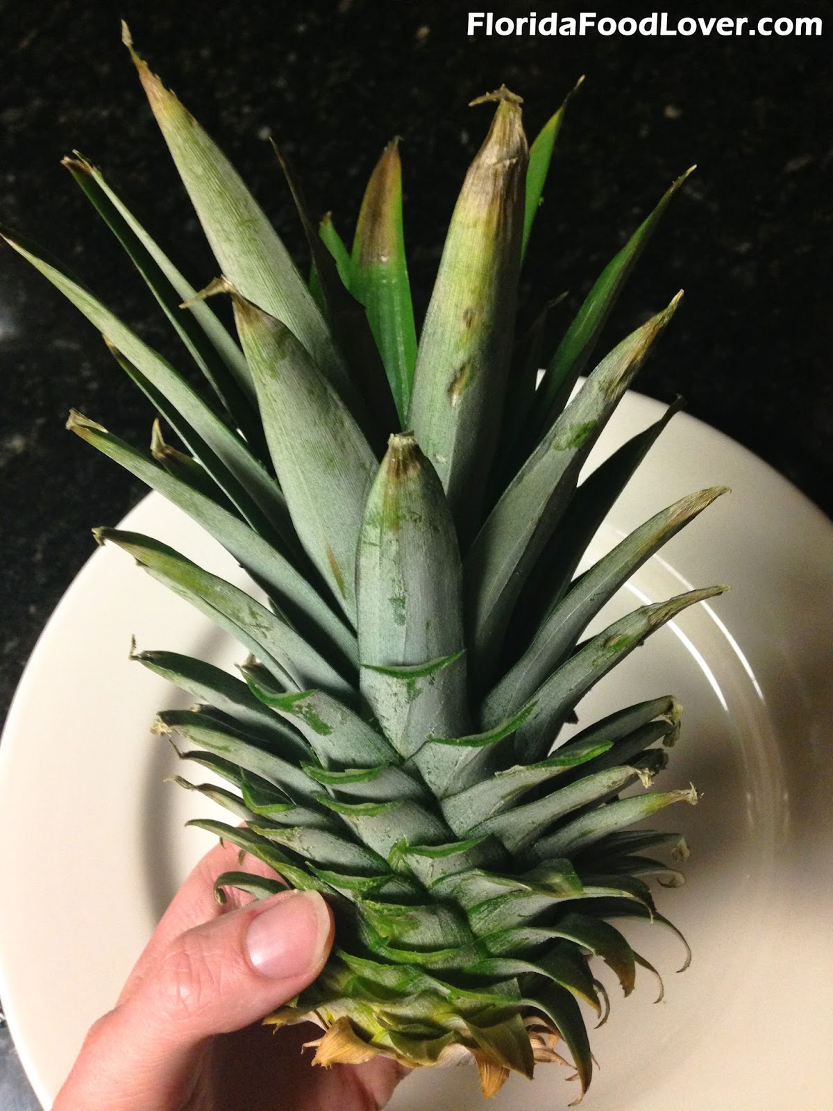 Florida Food Lover Savory Pineapple Cream Cheese Dip