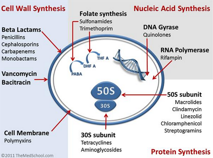 An Overview On Various types of Antibiotics Mechanism of Action