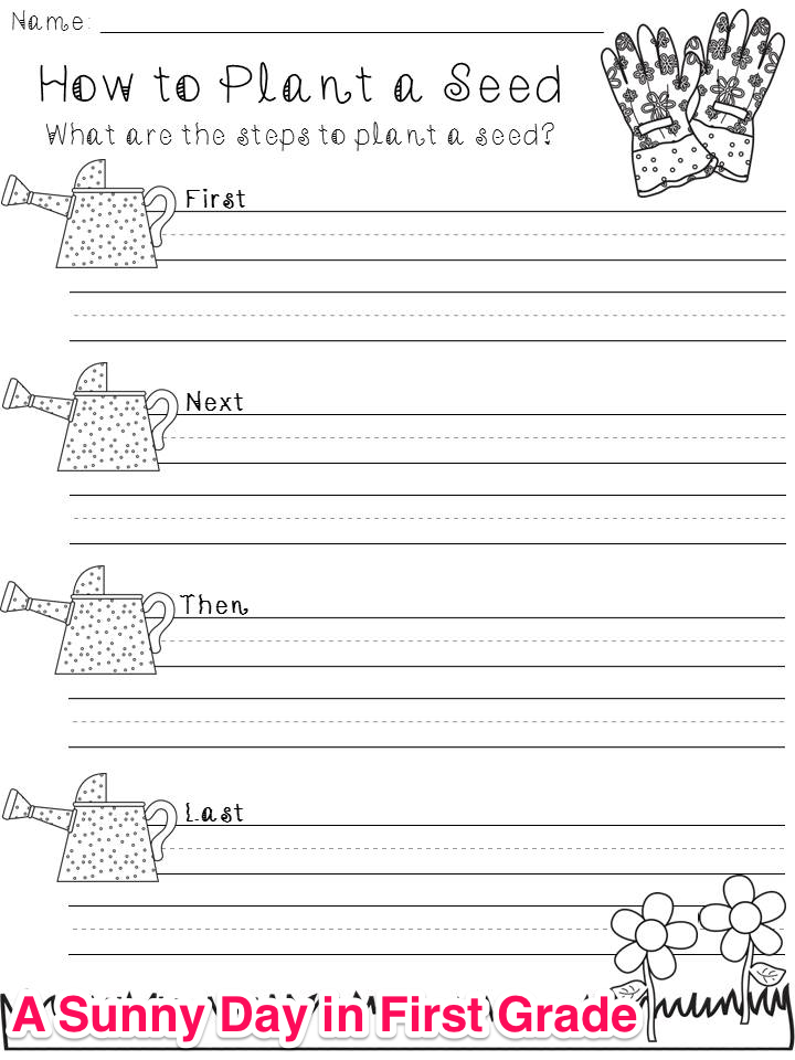 Essay plan sample picture