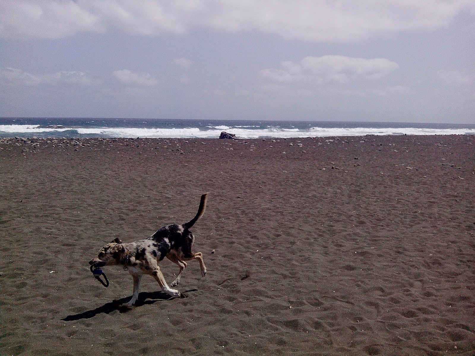 LLEVAR COCHE CANARIA llevar coche canaria:
