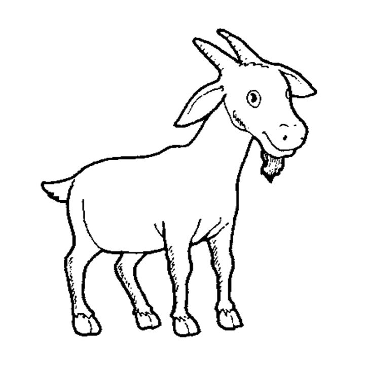 Dunia Haiwan( Sains Tahun 2 )