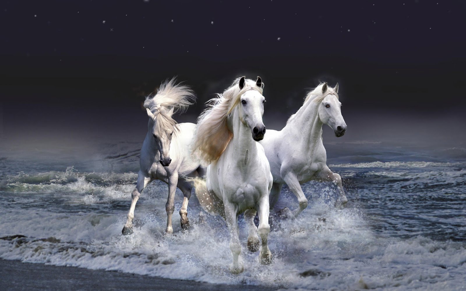 caballos-blancos-saliendo-del-mar-gara%25C3%25B1ones-horses-in-the-sea-1920x1200.jpg