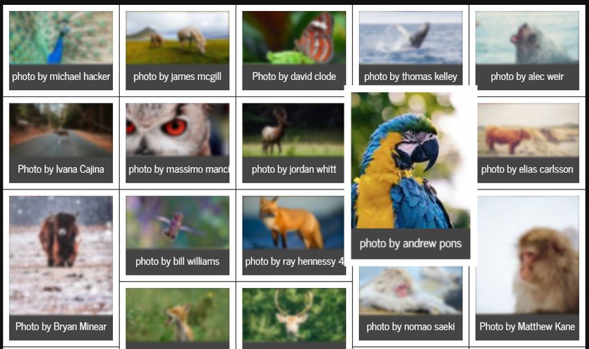 jquery-gallery-grid-plugin-nanogallery-4.jpg-十分強大的 jQuery 相簿畫廊外掛﹍nanogallery2