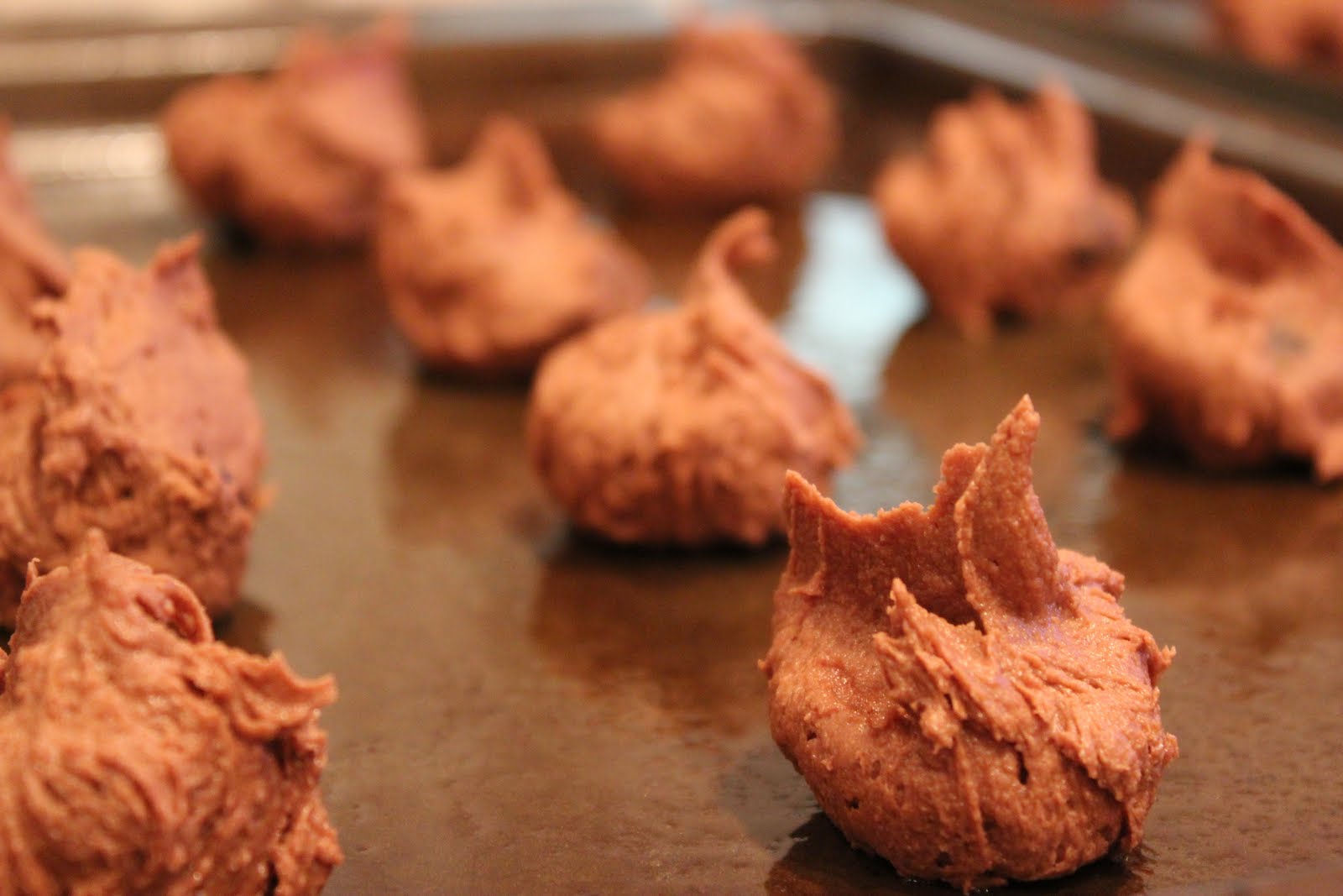 Chelsea's Choice Margarita Bars & Chocolate Raspberry Cookies with