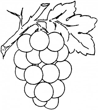 Coloring Pages  Adults on Grape Coloring Pages 6 Gif