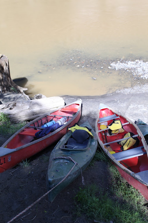 Along the Whanganui