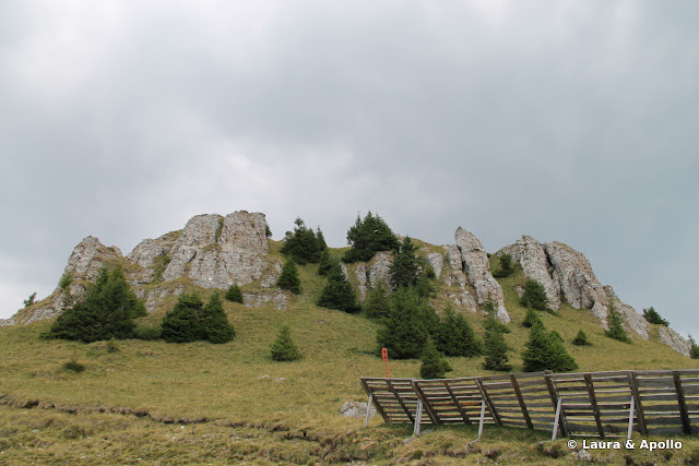 La cetate, Bucegi
