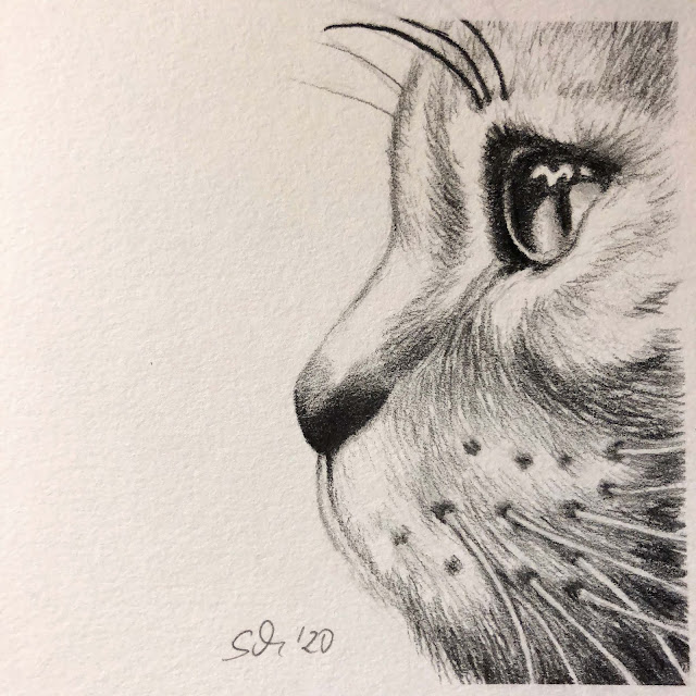 Mit Nadel Faden Und Viel Liebe Latest Snapshot Chan