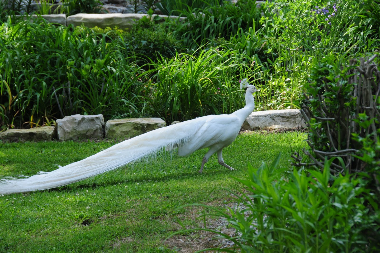 Hunter Isaacson & Family Swan Farm Pictures