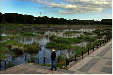 Costanera Sur 2010