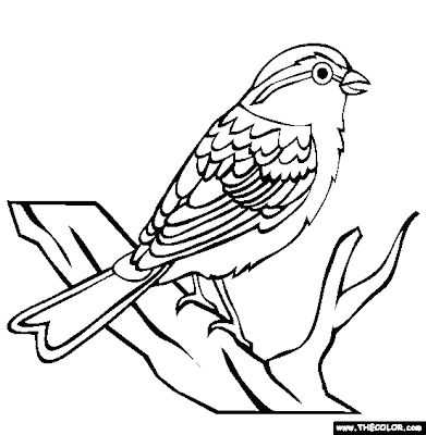 Line Drawing :: Clip Art :: Sparrow
