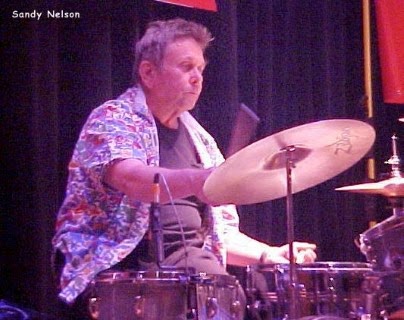 Sandy Nelson - Nelsonized Sandy Nelson - Nelsonized