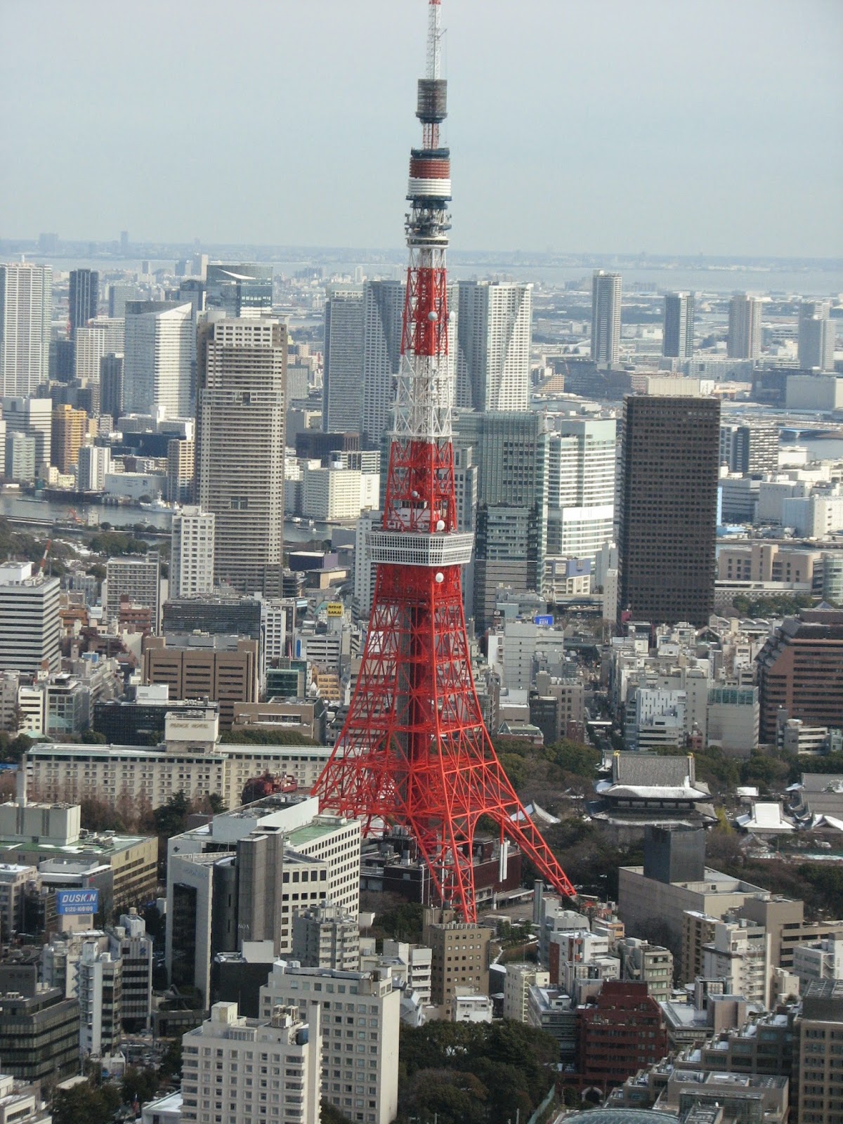 Armand's Rancho Del Cielo "One Piece" Amusement Facility Opens At