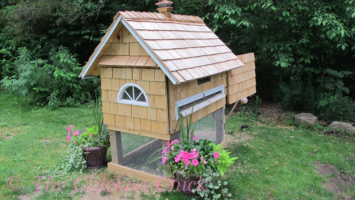 Building our Quail Coop The Chicken Chick®