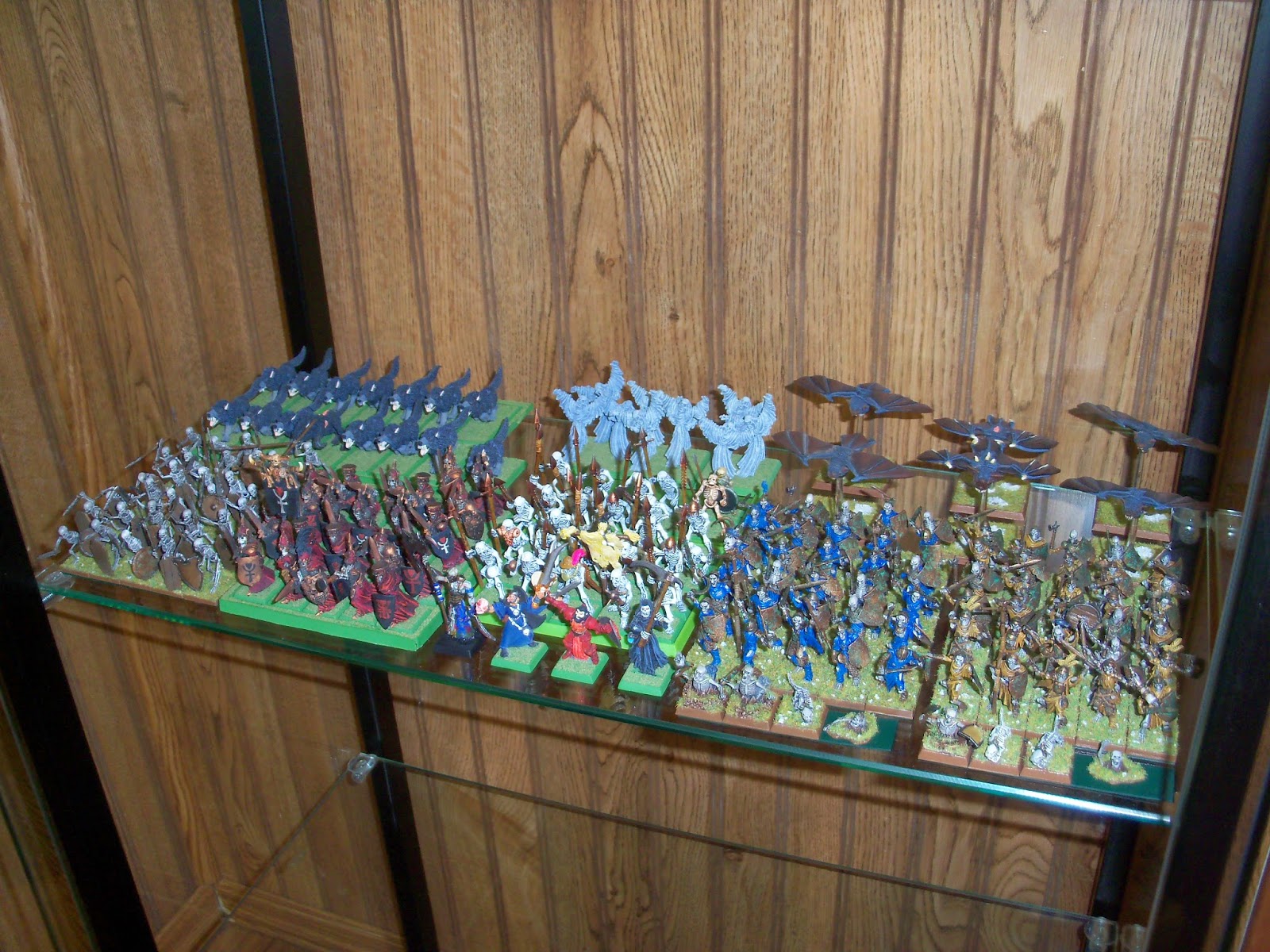 Adventures In Miniature Gaming Display Case for Miniatures