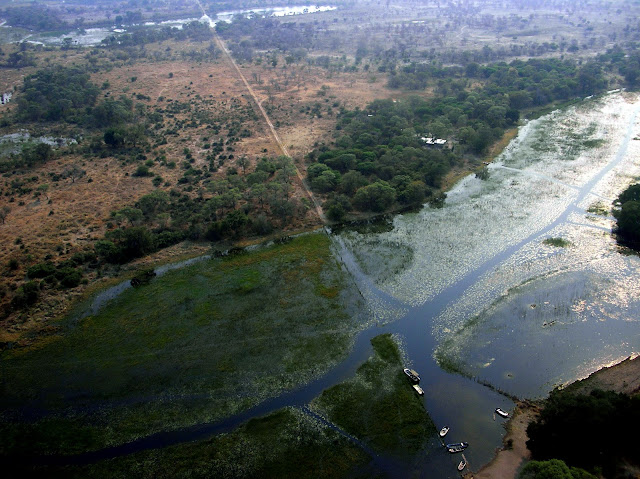 delta okavango