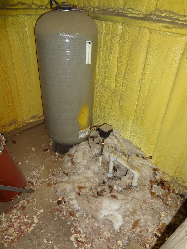 Surrey Hills Farm The Float Test for Freshness of Eggs