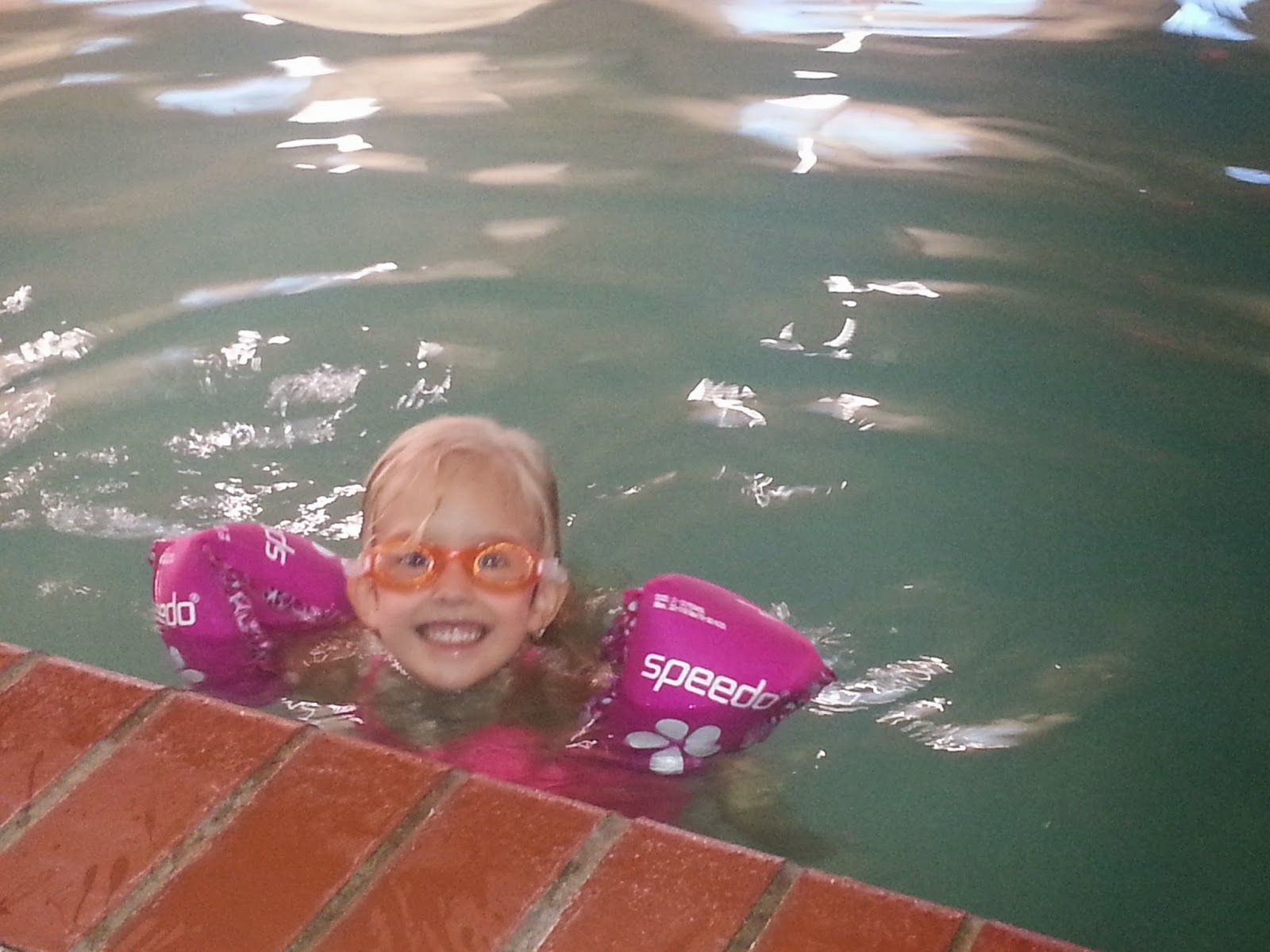 Nemo S Big Adventure June 2014