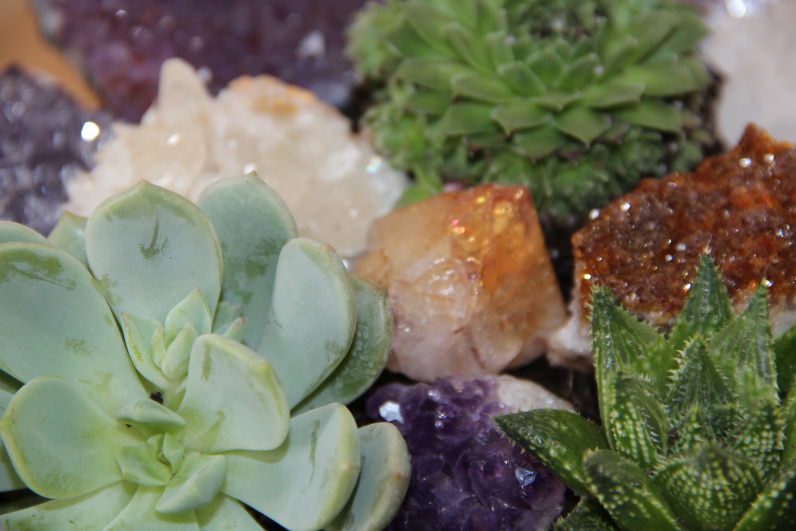 Satin And Salt DIY Crystal and Succulent Terrarium