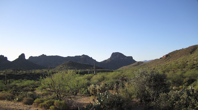 Scouting+Pics+in+Unit+24B+South+for+Dese