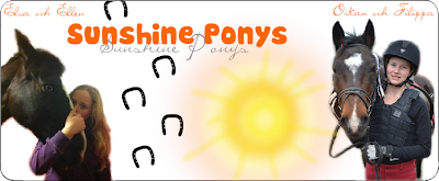 Sunshine Ponys