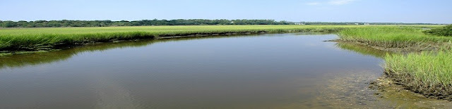 north carolina riparian buffers