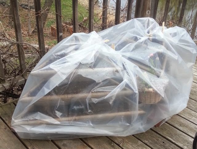 how to make a dyi cold frame