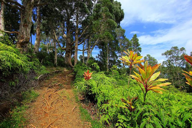 Maui Island