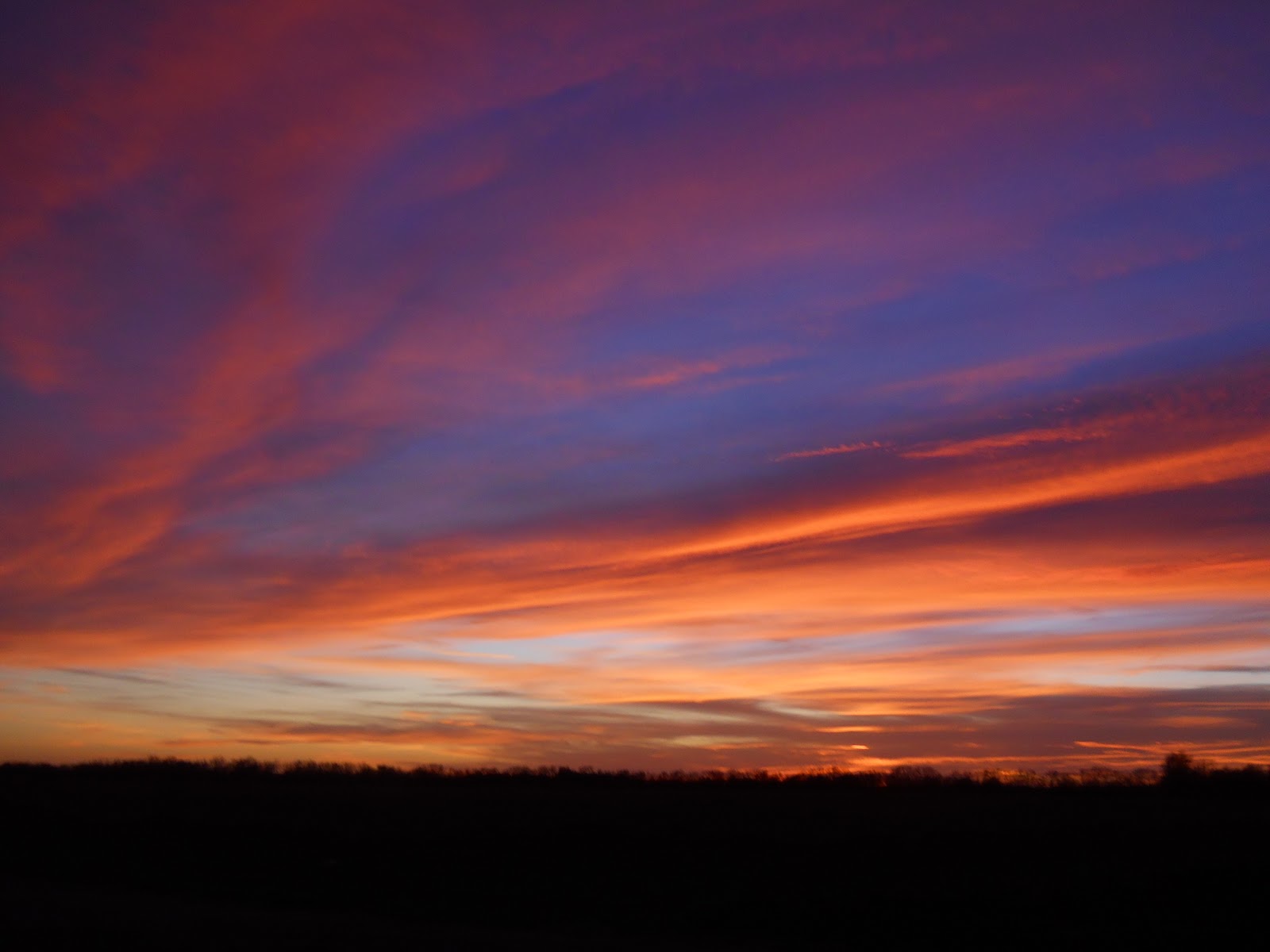 A Kansas Prairie Garden Winter skies