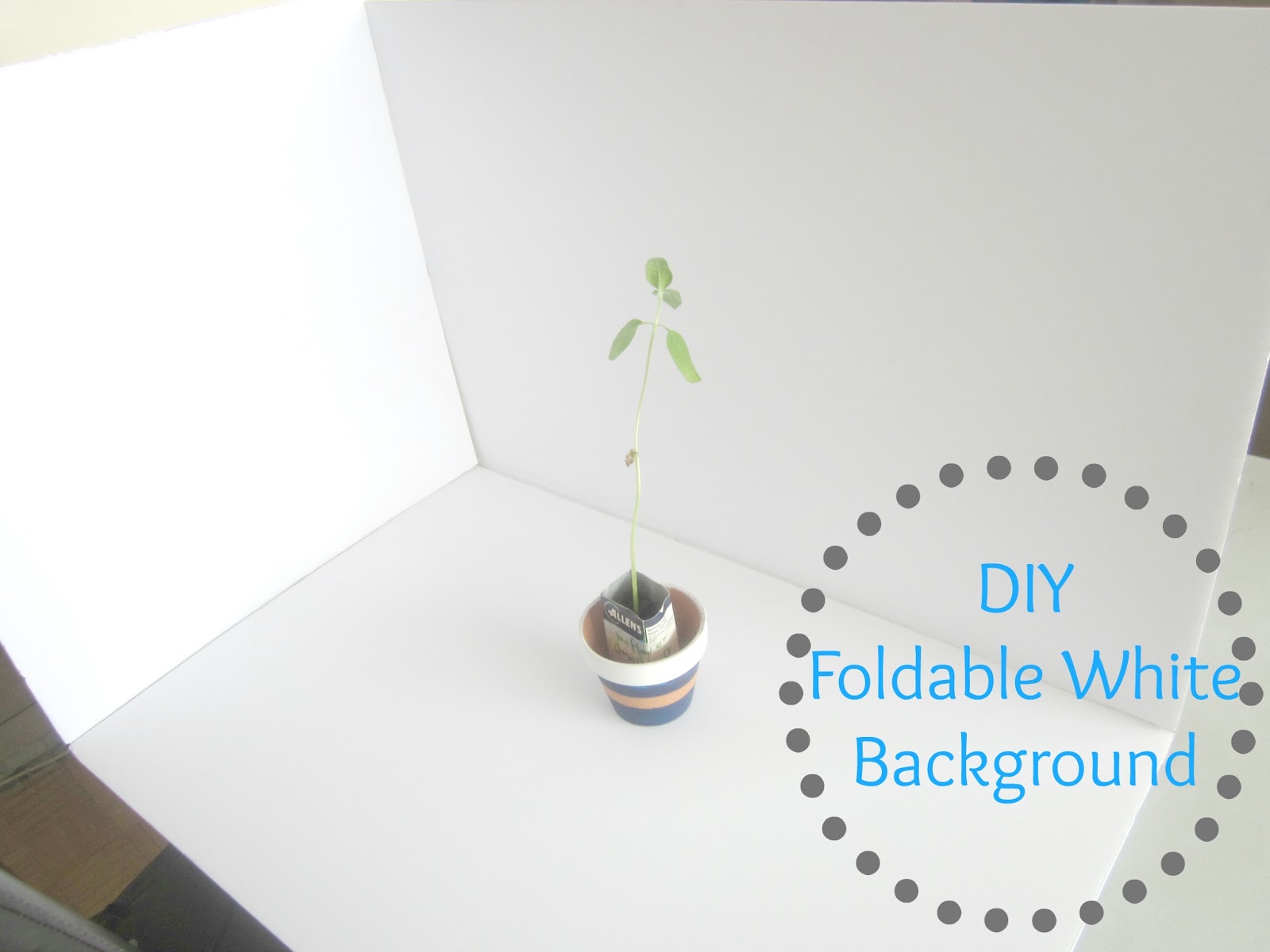 City of Creative Dreams DIY Foldable White Background