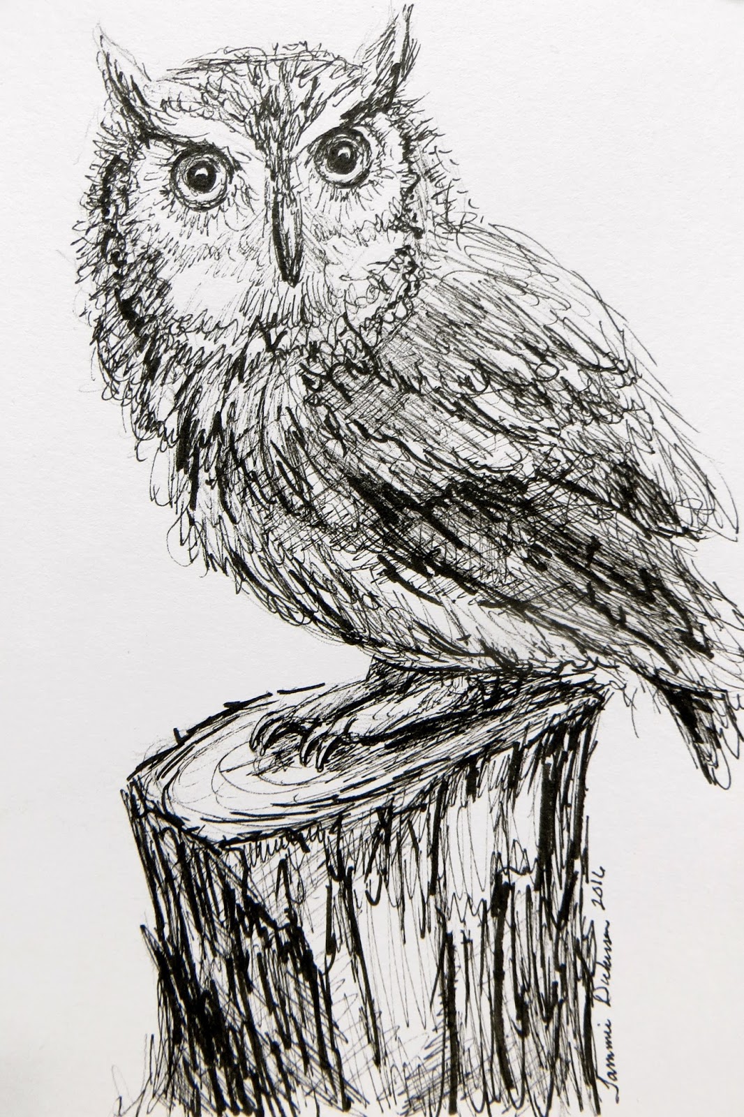 Tammie Dickerson's Artistic Journey Screech Owl in Ink