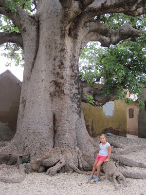 Baobab sagrado de Fadiouth