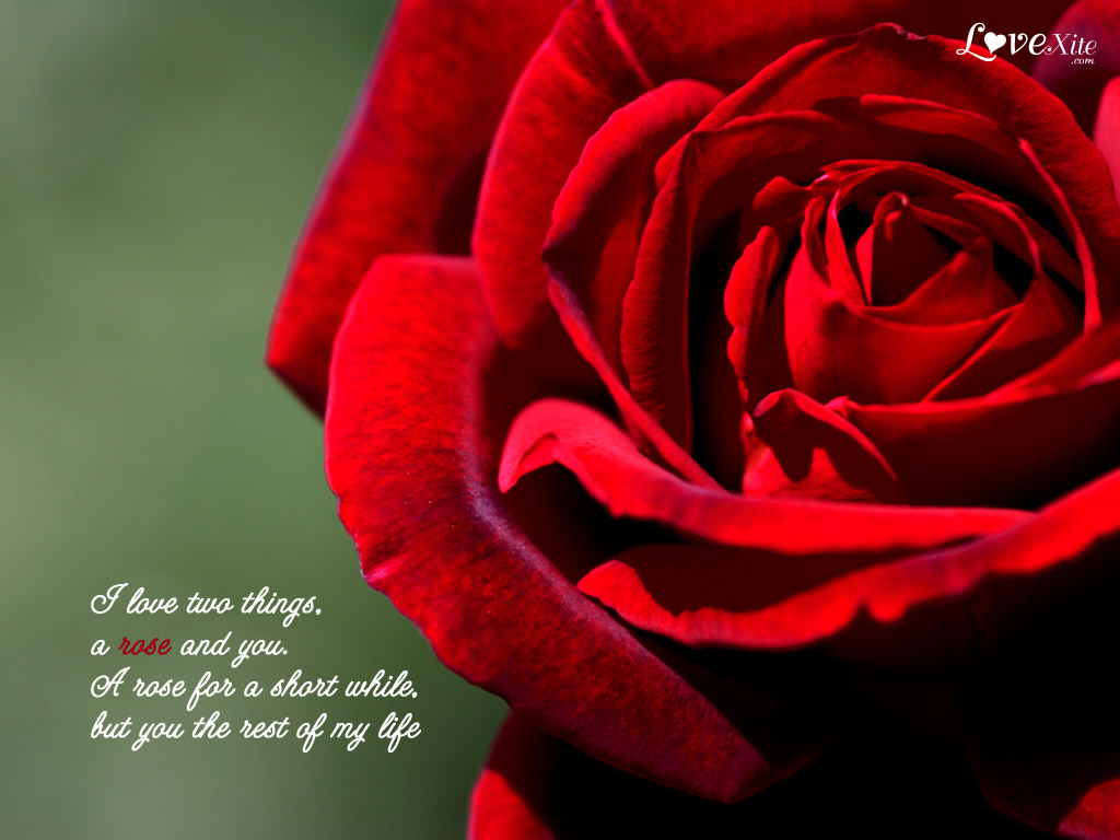 lover wallpaper Page 5
