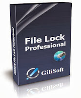 GiliSoft File Lock Pro 8.1.2 Final