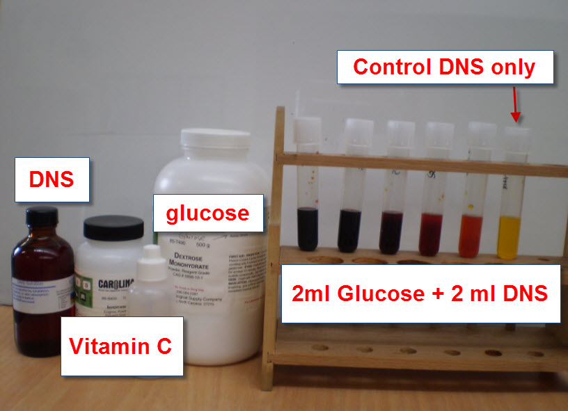 IB Biology/Chemistry IB Biology, IA, EE on glucose quantification