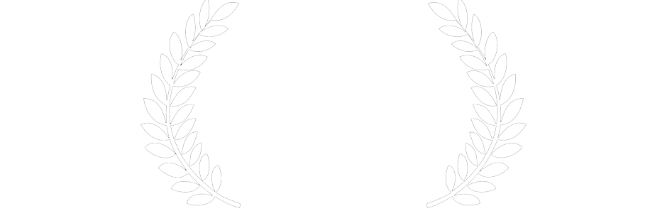 THE MODERN ELECTRIC