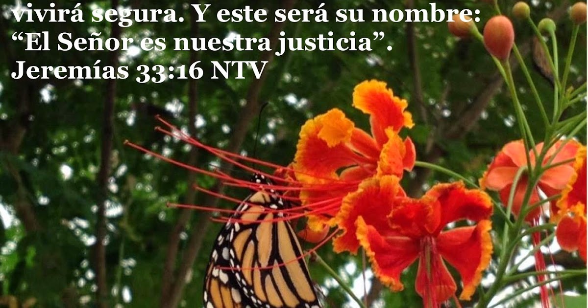 Promesas de Dios: Los nombres de Dios - Jehová Tsidkenu