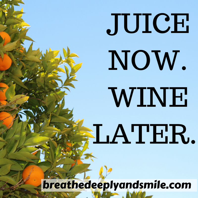 Breathe Deeply and Smile Get Started with Juicing {LaurenLivesHealthy Ebook Review}