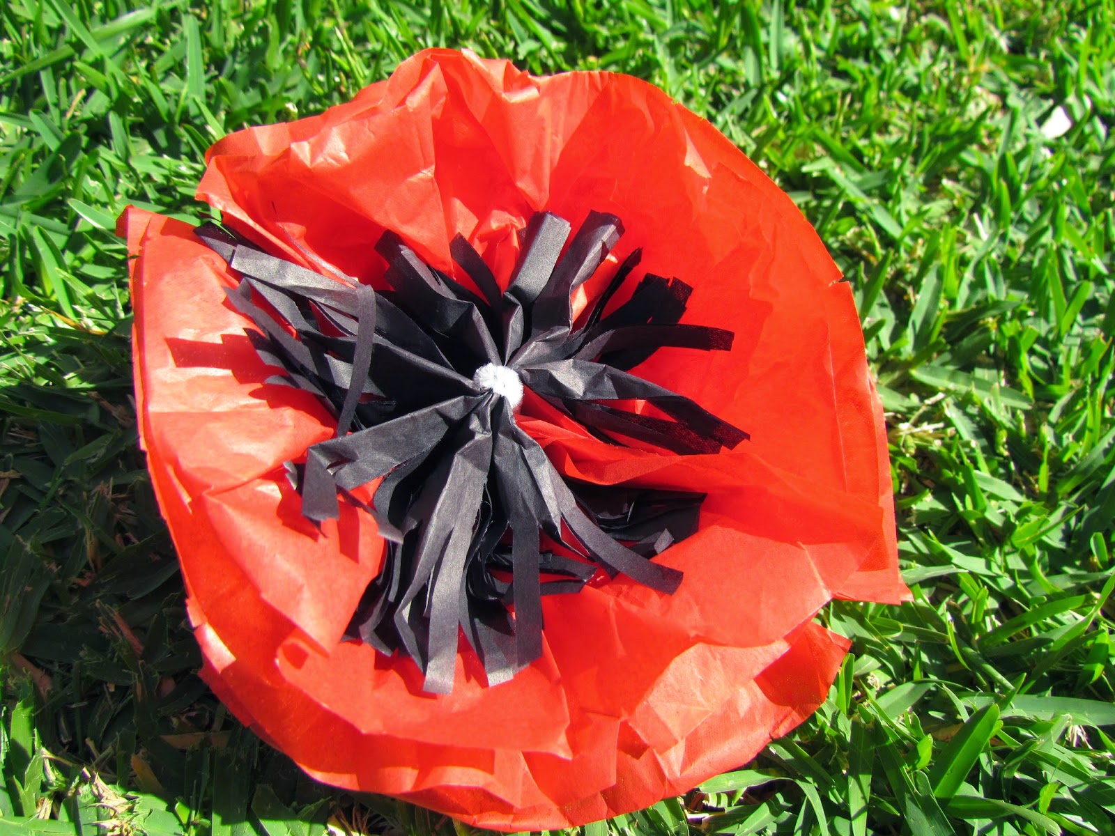 Living by the Guide Law Tissue paper poppies