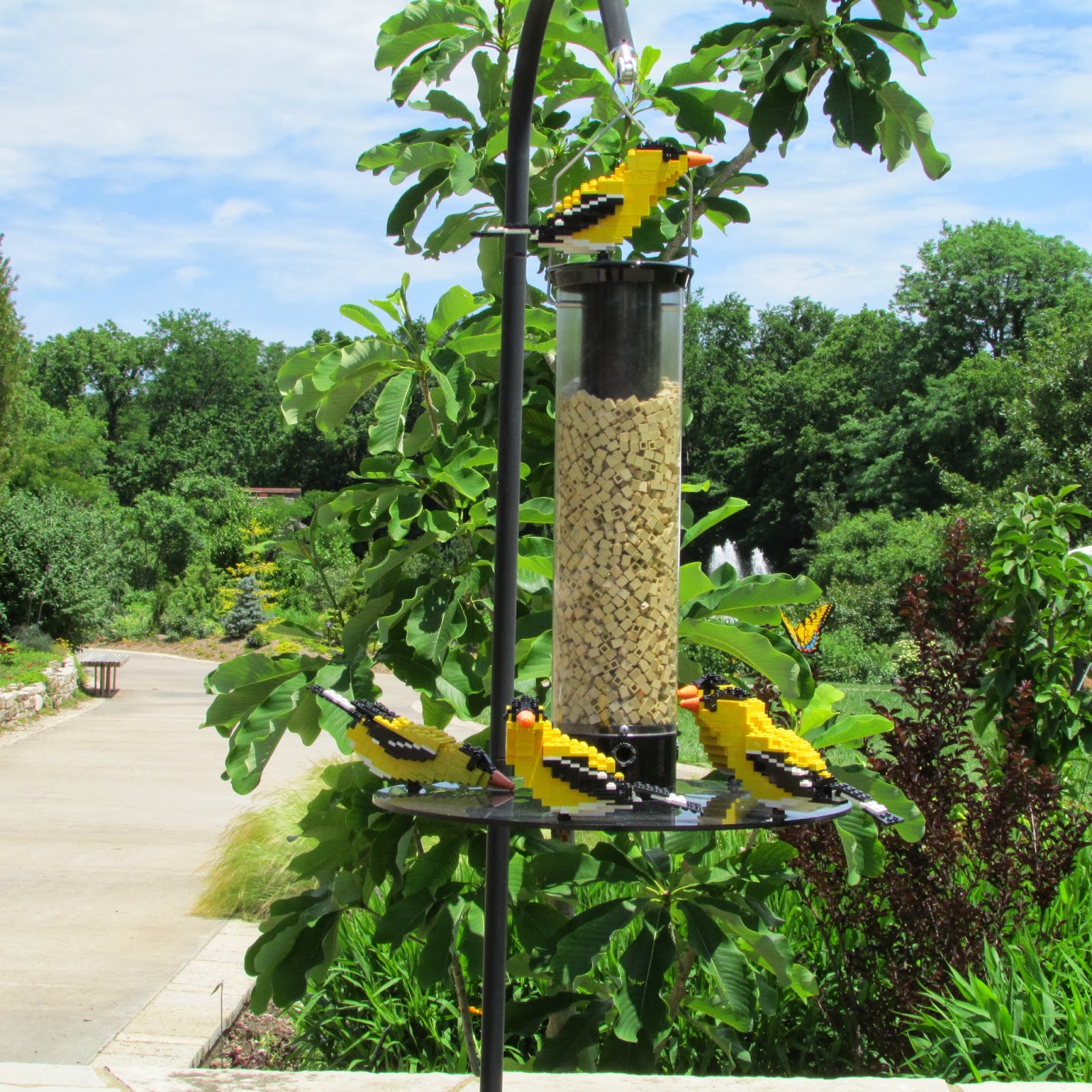 The Ultimate Life List: LIFE LIST: KANSAS CITY BOTANIC GARDEN