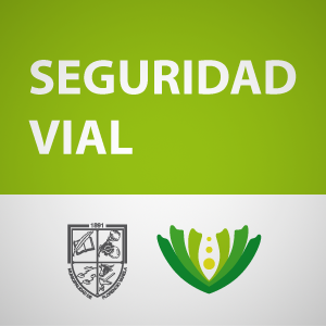 SEGURIDAD VIAL