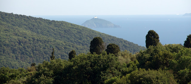 Populonia