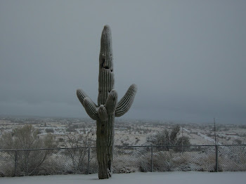 White out at Saguaro Hill