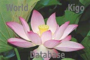 World Kigo Database - WKD