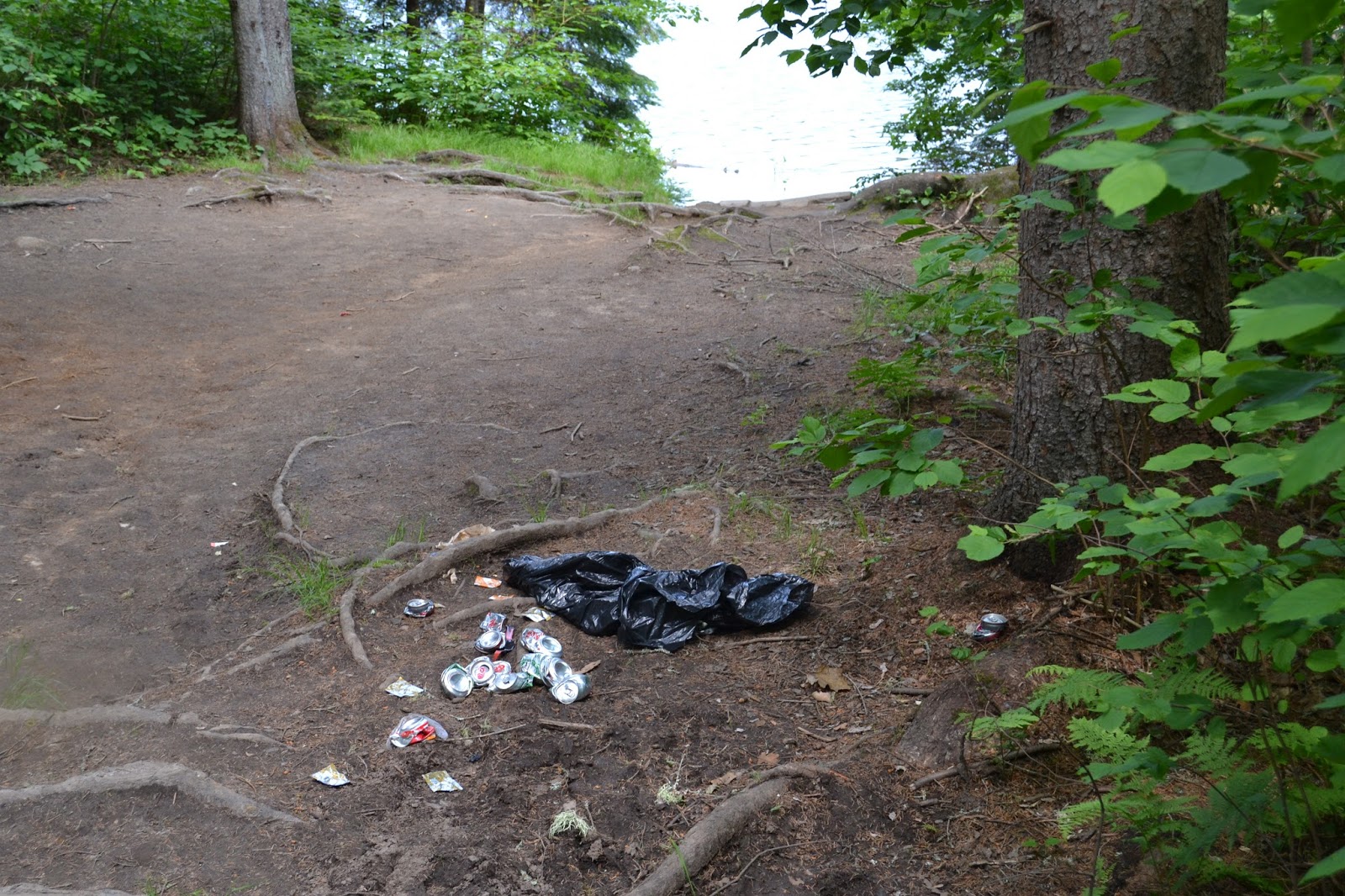 Life with Chickenruby If the bear is brown, lie down, if it's black