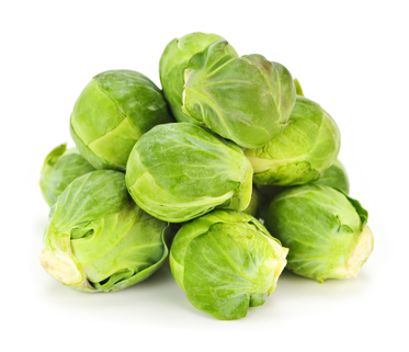 can dogs eat brussel sprouts with beagle eat your vegetables 6 veggies your dogs can eat can dogs eat brussel sprouts with beagle eat your vegetables 6 veggies your dogs can eat